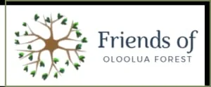 Friends of Oloolua